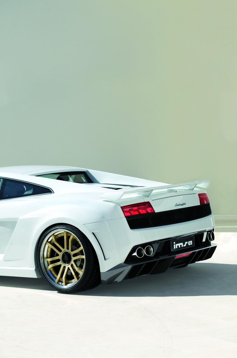  Lamborghini Gallardo LP560 GTV by IMSA 2009 года  (фото 13 из 24)